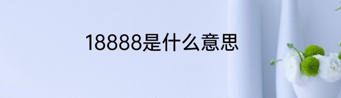 18888是什么意思