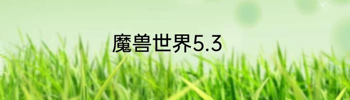 魔兽世界5.3