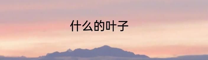 什么的叶子