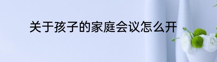 关于孩子的家庭会议怎么开