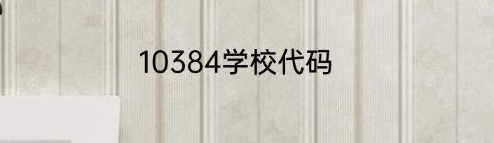 10384学校代码