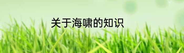 关于海啸的知识