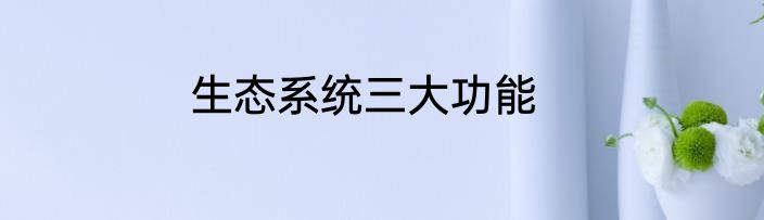 生态系统三大功能