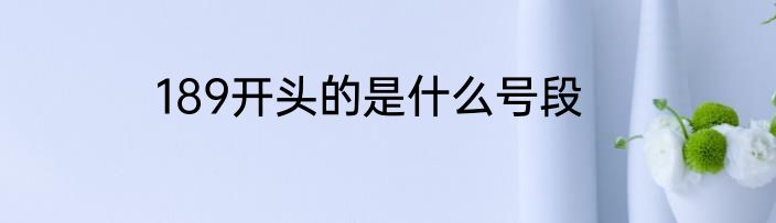 189开头的是什么号段