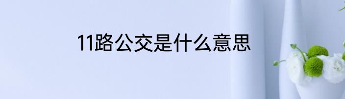 11路公交是什么意思