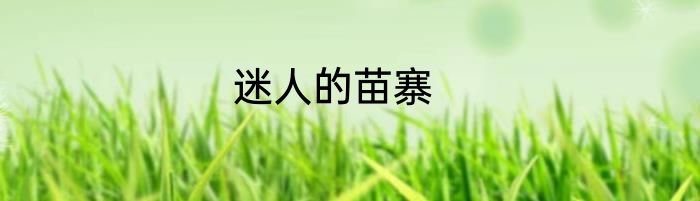 迷人的苗寨