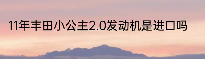 11年丰田小公主2.0发动机是进口吗