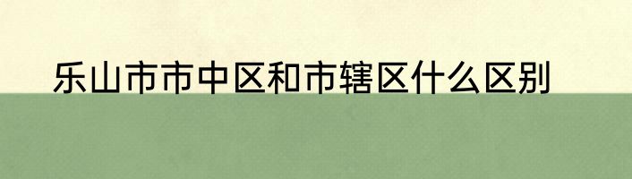 乐山市市中区和市辖区什么区别