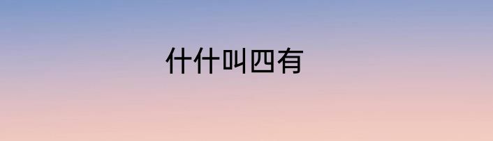 什什叫四有