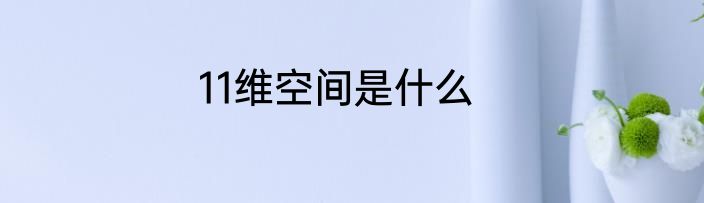 11维空间是什么
