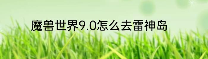 魔兽世界9.0怎么去雷神岛