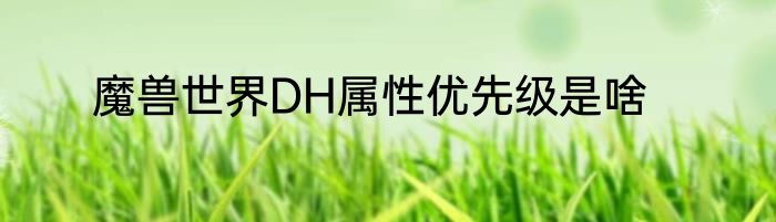 魔兽世界DH属性优先级是啥