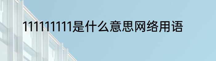 111111111是什么意思网络用语