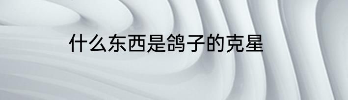 什么东西是鸽子的克星