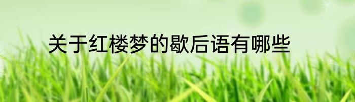 关于红楼梦的歇后语有哪些