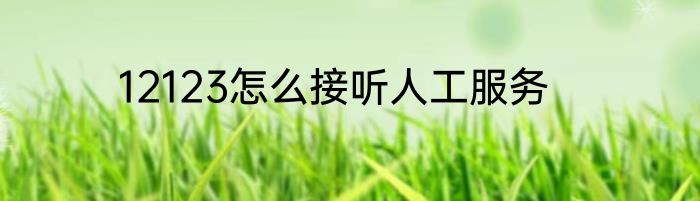 12123怎么接听人工服务