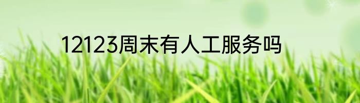 12123周末有人工服务吗