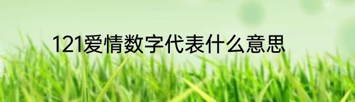 121爱情数字代表什么意思