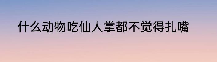 什么动物吃仙人掌都不觉得扎嘴