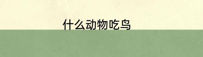 什么动物吃鸟
