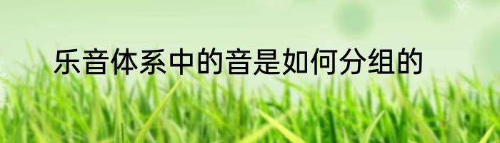 乐音体系中的音是如何分组的