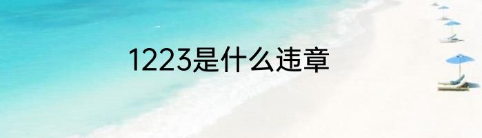1223是什么违章