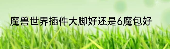 魔兽世界插件大脚好还是6魔包好