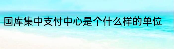 国库集中支付中心是个什么样的单位