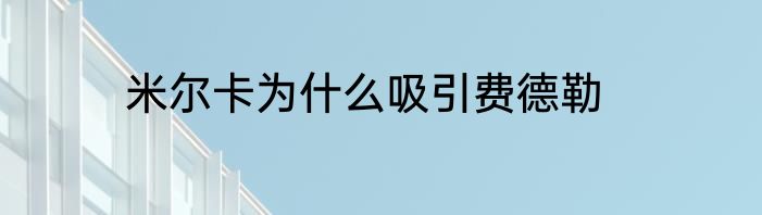米尔卡为什么吸引费德勒
