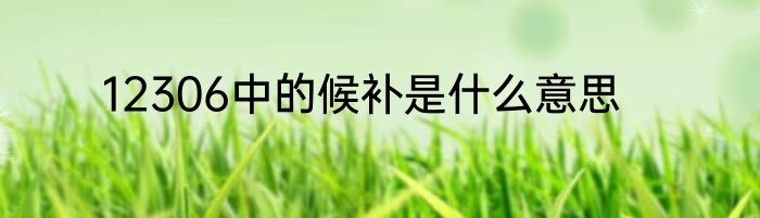 12306中的候补是什么意思