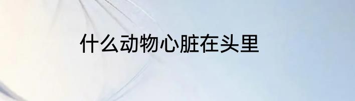 什么动物心脏在头里