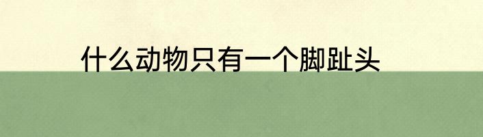 什么动物只有一个脚趾头
