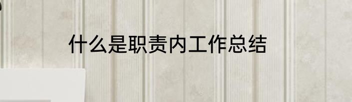什么是职责内工作总结