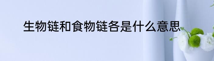 生物链和食物链各是什么意思