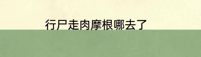 行尸走肉摩根哪去了