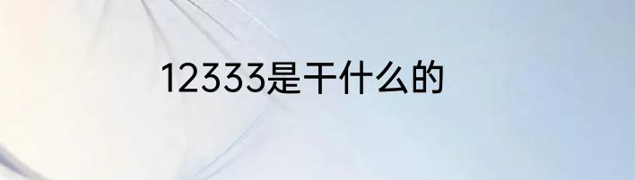 12333是干什么的