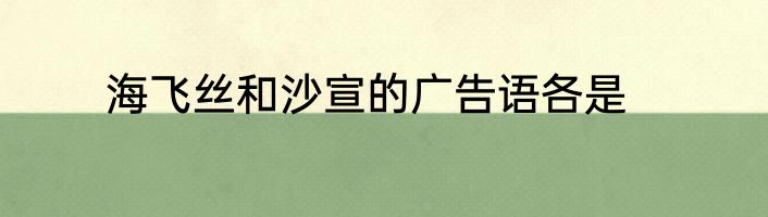 海飞丝和沙宣的广告语各是