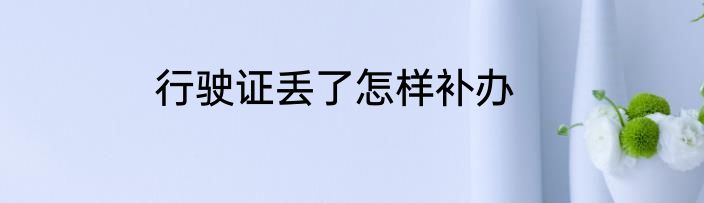 行驶证丢了怎样补办