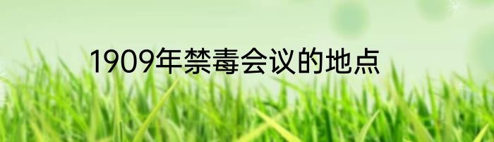 1909年禁毒会议的地点