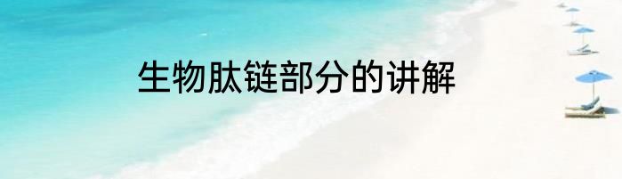 生物肽链部分的讲解