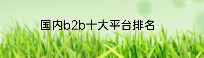 国内b2b十大平台排名