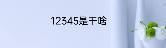 12345是干啥