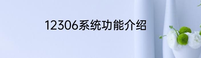 12306系统功能介绍