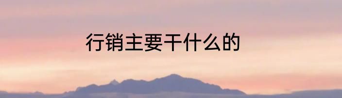 行销主要干什么的