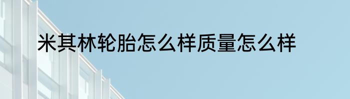 米其林轮胎怎么样质量怎么样