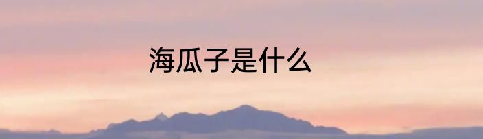 海瓜子是什么