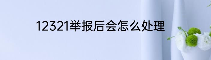 12321举报后会怎么处理
