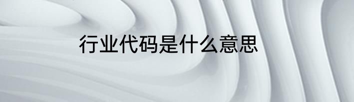 行业代码是什么意思