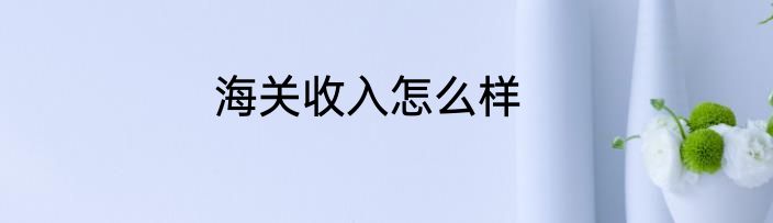 海关收入怎么样