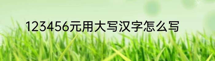 123456元用大写汉字怎么写